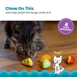 Catstages Dental Fruit Wedges 4 Pk, Soft and Textured Catnip Chew Toys That Help Clean Teeth, Multicolored