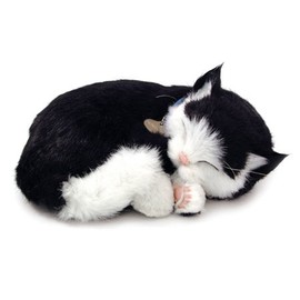 Perfect Petzzz – 65432 Interactive Soft Toy – 25 cm – shortair Bundle – Black and White Cat – Animal that breathes Real