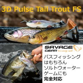 Savage Gear (サベージギア) 3Dパルステールトラウト 10インチ ファストシンキング コカニートラウト 3DPulsetail Trout 10IN FS KOK TROUT