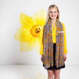 GFM® Women's Daffodil Flower Print Scarf - All Seasons Scarf (Daf-05-Grey)(SA-PSCF-DAF-22005-BH)