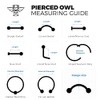 Pierced Owl 316L Stainless Steel Cat Face Seamless Bendable Cartilage