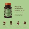 Loviral Softgels 60 ct. Herbs Etc.