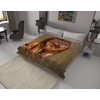 New Solaron King Size Lion Korean Mink Blanket