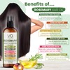 VITAL AFFAIR Blend Of Pure Rosemary Oil For Hair Growth