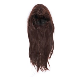 Long Straight Synthetic Hair High Density Silky Heat Resistant Fiber Wig with Bang for Women Dark Brown