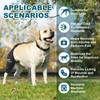 Dollephi Dog Knee Brace for Torn ACL Hind Leg, Hot/Cold