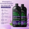 Champú y acondicionador Tea Tree Lavender Mint con aceite de