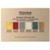 Williamsburg Artist Oil Colors by GOLDEN, Selected Iridescents Set