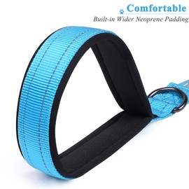 VIVAGLORY Short Lead Dog Lead Short Nylon Lead Medium Large Dogs Short Lead Metal Clip Dog Lead with Short Lead, 32 cm Length 2.5 cm Width, Lake Blue