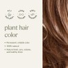 Khadi Natural Hair Colours Dark Blonde 3.5oz