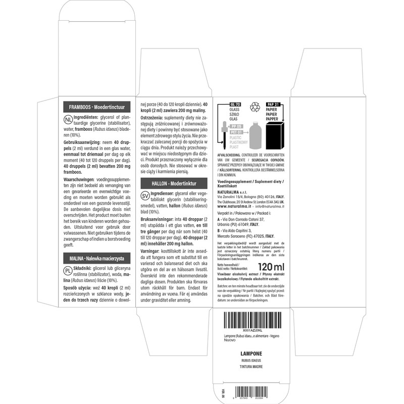 Raspberry (Rubus idaeus) Leaves Alcohol-Free Mother Tincture Naturalma - Liquid