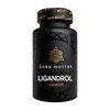 Dark Matter Ligandrol SARMS