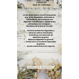 Raíz De Toronjil Capsulas | Potente 100 Unidades