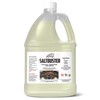 woolwax SALTBUSTER Salt & Brine Remover/Neutralizer for Auto & Trucks,