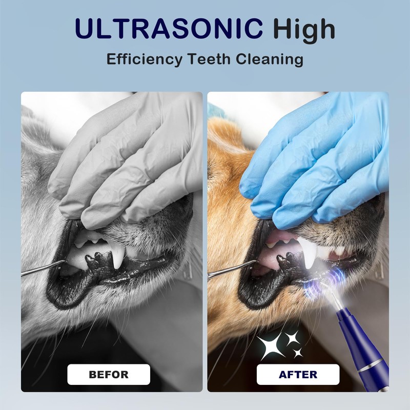 Psytpusa Plaque Remover for Teeth, Pet Ultrasonic Cleaner, Dog Plaque