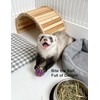 HEUHAI 10-Pack Ferret Jingle Bell Toy Balls, Non-Toxic PP, Hollow