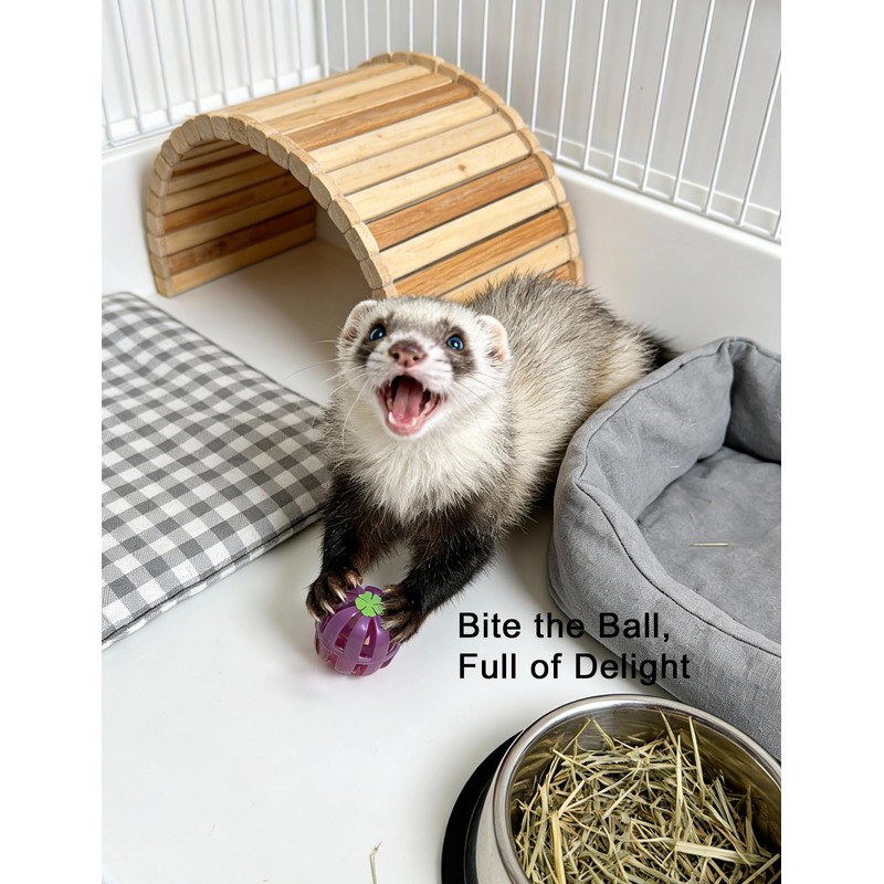 HEUHAI 10-Pack Ferret Jingle Bell Toy Balls, Non-Toxic PP, Hollow