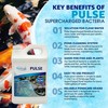 PondScape Pulse Supercharged Liquid Formula – Enhances Water Quality, Reduces