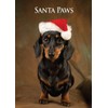 Miniature Dachshund Dog Christmas Card by Charles Sainsbury-Plaice. Large A5