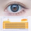 DIY Eyelash Extensions,60pcs Cluster Lashes - D Curl 0.07, 13mm
