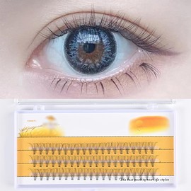 DIY Eyelash Extensions,60pcs Cluster Lashes - D Curl 0.07, 13mm - Soft Individual Lashes, False Eyelashes for a Natural, Fluffy Look (13mm)