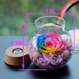 roliys Preserved Real Roses with Colorful Mood Light Wishing Bottle,Eternal Rose，Never Withered Flowers,for Bedroom Party Table Decor, Christmas Anniversary,Valentine's,Mother's Day, (Multi)