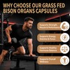 19-IN-1 Primal Bison Organs Supplement for Men, 100 Capsules, Grass‑Fed