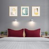 PiccoCasa Pillow Shams Double Brushed Microfiber, 2 Packs Pillowcases with