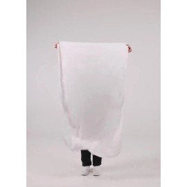 Damdeko;i Custom Lion Flag - Motivational Gym Decor  Wall Tapestry