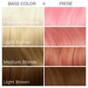 ARCTIC FOX Vegan and Cruelty-Free Semi-Permanent Hair Color Dye (8