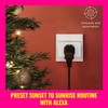 WiZ Smart Plug- Sunset to Sunrise Automation + Motion Detection