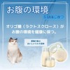 Pet Sweat Jelly for Cats, Set of 7 x 3