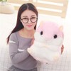 YunNasi Cuddly Plush Stuffed Hamster Pillow with Comfortable Blanket of