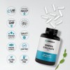 Marine Collagen Capsules 1500mg – Hydrolysed Type 1 Collagen Peptides