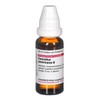 Ceanothus americanus mother tincture DHU 20 ml solution