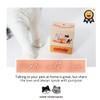 Catnip Conversations Cards - Artfully Designed to Inspire Meaningful Conversations
