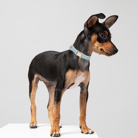 YUDOTE Soft Leather Dog Collar with Safety Quick Release Metal Buckle, Natural Cotton, Padded Faux Leather Collar for Sensitive Skin Puppies, Light Blue