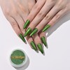 XZMeiLun Chameleon Green Magic Mirror Chrome Nail Powder, Big-Capacity 1.5g