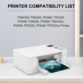 AITERJET PG-260 XL/CL-261 XL Ink Cartridges Replacement for Canon 260 and 261 Ink Cartridges for Canon Ink 260XL 261XL fit for Pixma TR7020 TR7022 TS6420 TS5300 TS5320 Printer(1 Black,1 Color)