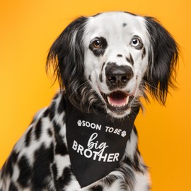 Soon to Be Big Brother Dog Bandana | 100% Cotton Adjustable Triangle | Made in USA | New Baby | Pregnancy Announcement Photoshoot Prop | Gender Reveal | Hot Pink One Size (52)
