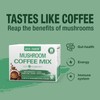 ECO-TASTE Mushroom Coffee Mix, Designed for Gut-Health with Chaga, Lion's