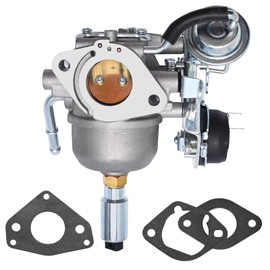 Zreneyfex 541-0765 Carburetor Replacement for Onan 5500 carburetor Replacement for Onan RV Generator 141-0983 Grand Marquis Gold Generator with Mounting Gaskets Fuel Filter Cleaner Tool Kit