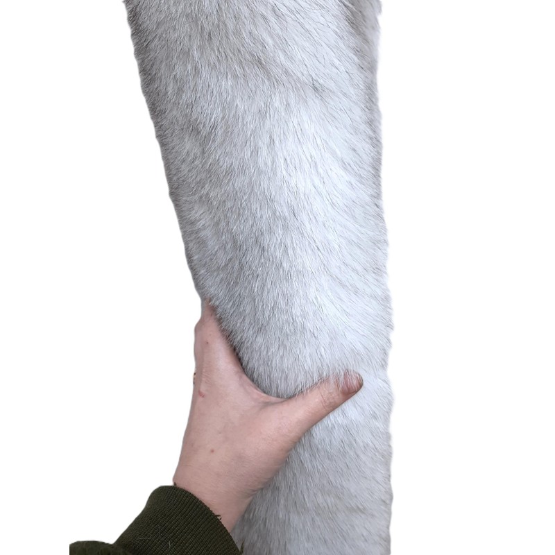 Dakotaline Furs Blue Fox Pelt/Hide - 60" Length, Genuine Natural