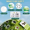 Artojoy 12 PCS Real Insect Resin Specimen, Science Education Bug