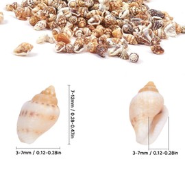 Tiny Sea Shells, 1 Can Non Porous Spiral Seashells for DIY Fish Tank Landscaping Drift Bottle Decoration, for Nautical Decor and Crafts