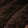 Bamatea Puerh tea loose leaf, Chinese Yunnan Aged Black Tea