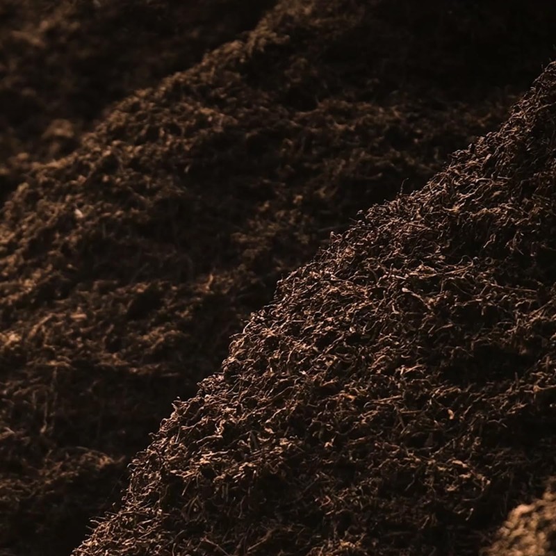 Bamatea Puerh tea loose leaf, Chinese Yunnan Aged Black Tea