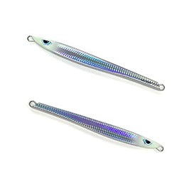 アズーロ ルンゴII 220g タテホロシルバーＧＨ オフショア ジグ タチウオパターン スロージギング ジギング