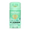 Mitchum Natural dry solid women