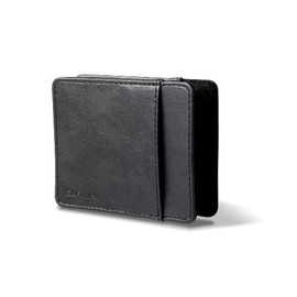 Garmin 3.5-Inch Carrying Case